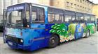 SKI BUS SEVERKA