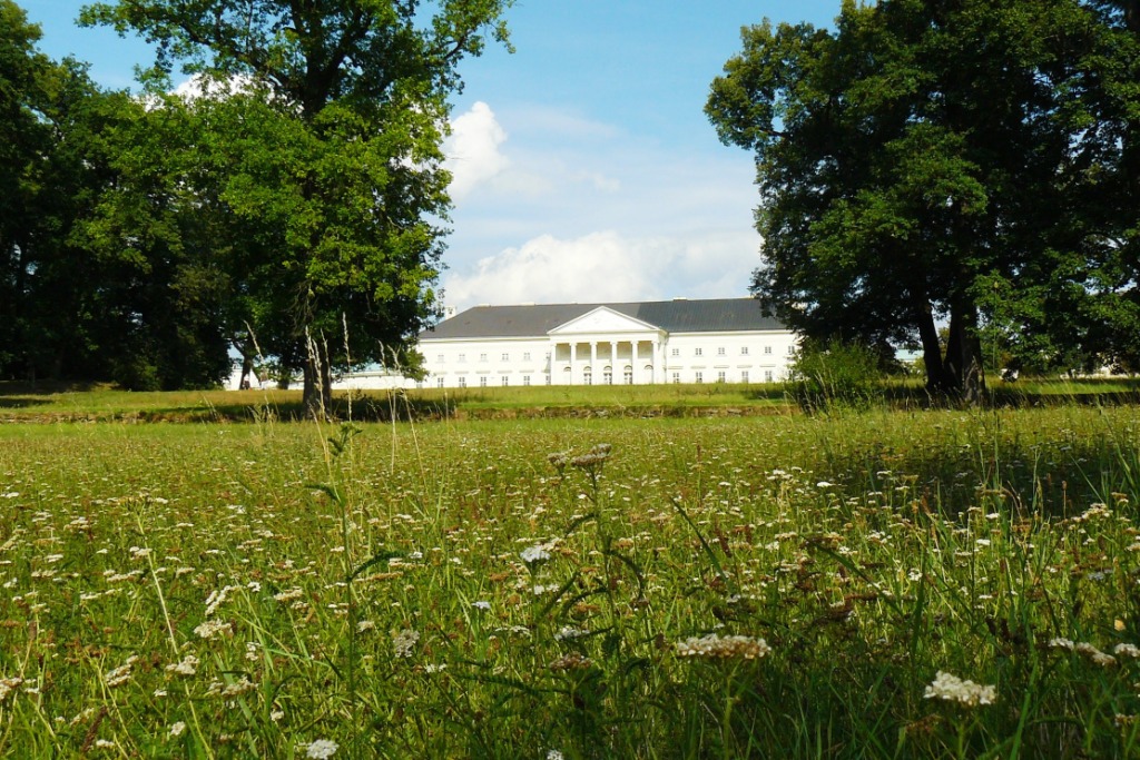 ZMEK KAINA, MUZEUM ESKHO VENKOVA