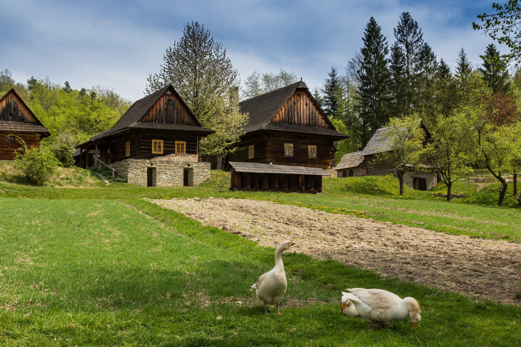 VALAŠSKÉ MUZEUM V PŘÍRODĚ ROŽNOV POD RADHOŠTĚM