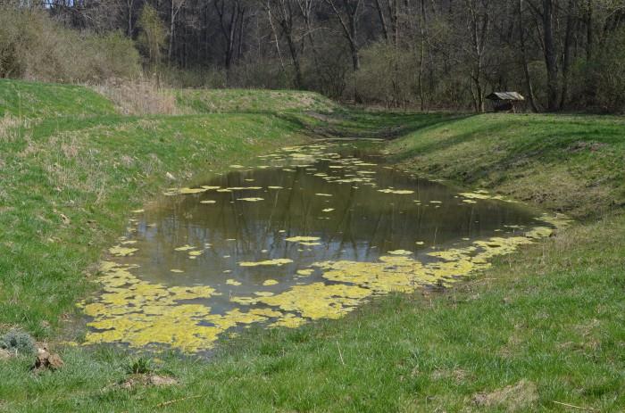 Hustopečský rybník